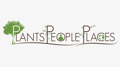 Graphic Design, HD Png Download, Free Download