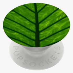 Transparent Leaf Circle Png - Houseplant, Png Download, Free Download