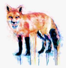Cute Fox Watercolor Painting, HD Png Download, Free Download