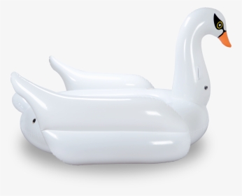 Duck, HD Png Download, Free Download