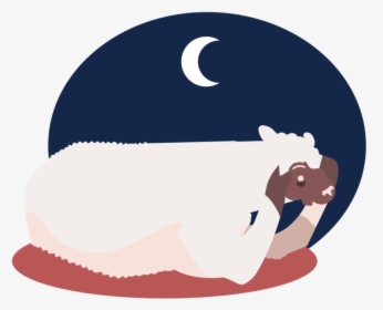 Lamas9-48 - Illustration, HD Png Download, Free Download