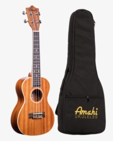 Amahi Concert, HD Png Download, Free Download