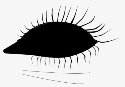 Close-up, HD Png Download, Free Download