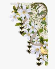 Transparent Jasmine Flower Hd Png, Png Download, Free Download