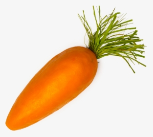 Single Carrot Png - Single Carrot Transparent Background, Png Download, Free Download
