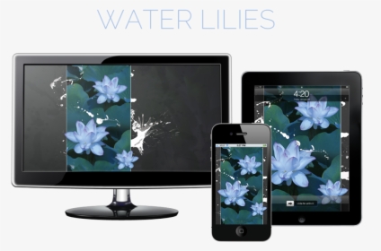 Water Lilies Hero - Samsung P2270, HD Png Download, Free Download