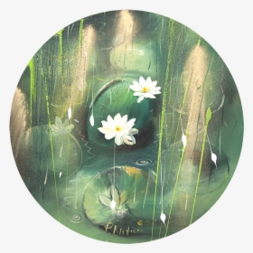 He & She - Water Lily, HD Png Download, Free Download