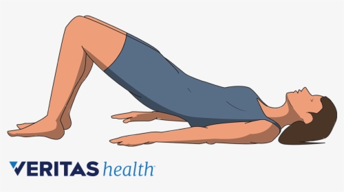 Illustration Of Person Doing A Bridge Exercise - Press Up, HD Png Download, Free Download