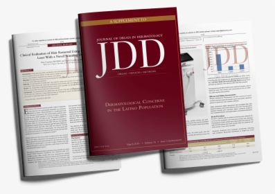 Flyer, HD Png Download, Free Download