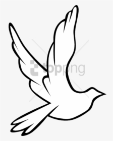Free Png Download Black And White Flying Birds Png - Bird Flying Drawing Easy, Transparent Png, Free Download