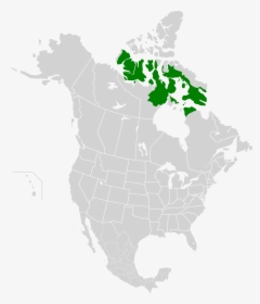 Appalachian Temperate Rainforest Location, HD Png Download, Free Download