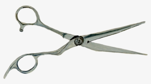 Hair Cutting Scissors Png, Transparent Png, Free Download