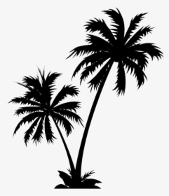 Silhouette Coconut Tree - Coconut Tree Vector Png, Transparent Png, Free Download