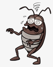 Cockroach Cartoon, HD Png Download, Free Download