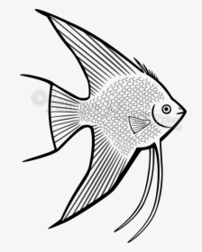 Draw A Fish Very Hard, HD Png Download, Free Download