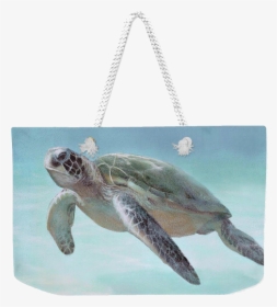 Home Decor & Accessories - Hawksbill Sea Turtle, HD Png Download, Free Download