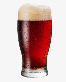 Red Beer Glass Png, Transparent Png, Free Download
