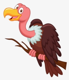 Vulture Cartoon Clipart Animal Bird Transparent Png - Vulture Clipart Png, Png Download, Free Download