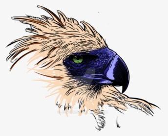 Thumb Image - Philippine Eagle Transparent Background, HD Png Download, Free Download