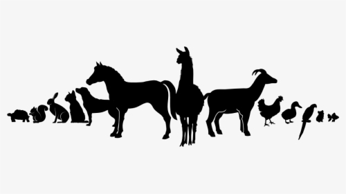 Animals In A Row Silhouette, HD Png Download, Free Download