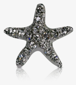 Starfish, HD Png Download, Free Download
