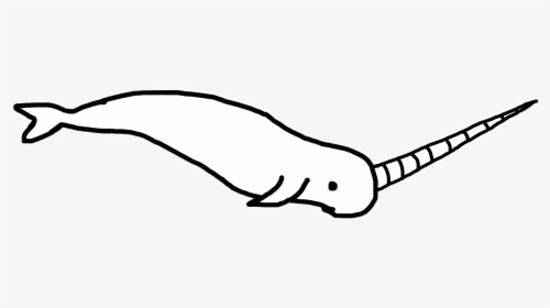 Cliparts For Free Download Narwhal Clipart Drawing - Narwhals Line Drawing, HD Png Download, Free Download