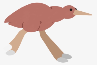 Kiwi Bird Png, Transparent Png, Free Download