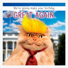 Birthday Funky Quirky Unusual Modern Cool Card Cards - Donald Trump Cat Card, HD Png Download, Free Download