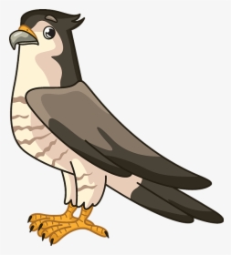 Buzzard, HD Png Download, Free Download