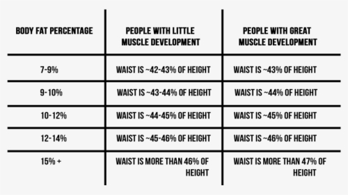 Waist Height Body Fat, HD Png Download, Free Download