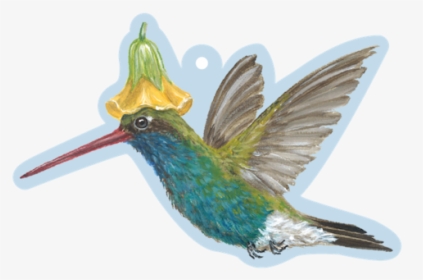 Hummingbird Gift Tag - Hummingbird, HD Png Download, Free Download