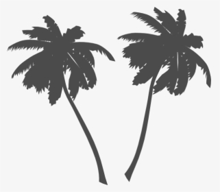 Palm Trees Svg Clip Arts - Vector Palm Tree Png, Transparent Png, Free Download