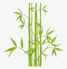Bamboo Vector Bush, HD Png Download, Free Download
