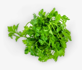 Green Leafy Vegetables India, HD Png Download, Free Download