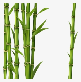 Png Free Images Only - Green Bamboo Stick Png, Transparent Png, Free Download