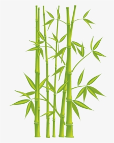 Simple Bamboo Wall Painting, HD Png Download, Free Download