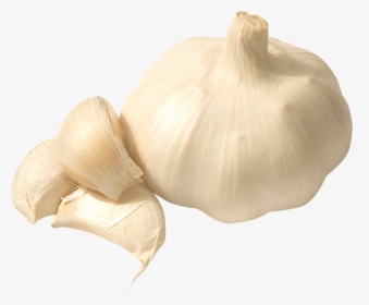 Garlic Png Image, Transparent Png, Free Download