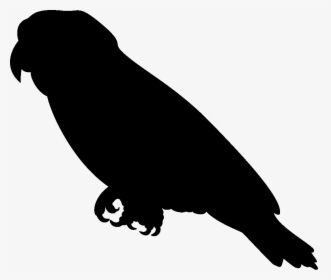 Bird Cockatiel Cockatoo Silhouette Clip Art - Parrot Silhouette Png, Transparent Png, Free Download