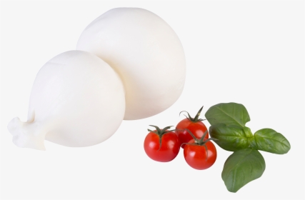 Scamorzacow, HD Png Download, Free Download
