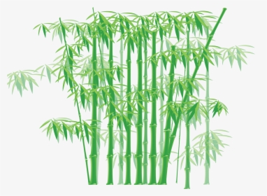 Transparent Panda Bamboo Clipart - Bamboo Design On Glass, HD Png Download, Free Download