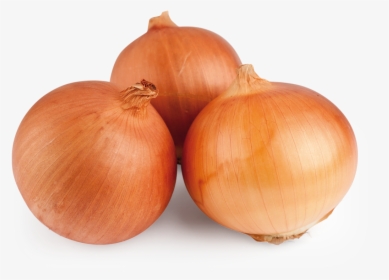 Grano De Oro Onion - Yellow Onion, HD Png Download, Free Download