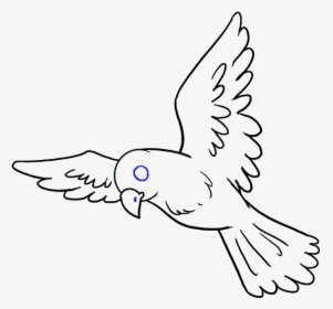 Drawn Head Bird - Drawing Of Bird, HD Png Download, Free Download