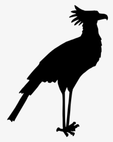 Bird Drawing Clip Art - Secretary Bird Silhouette, HD Png Download, Free Download