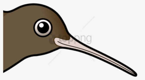 Free Png Download Bird Cartoon Png Images Background - Seabird, Transparent Png, Free Download