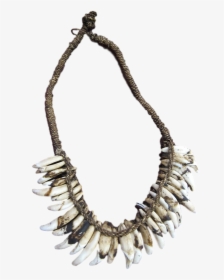 Asmat Dog Tooth - Necklace, HD Png Download, Free Download