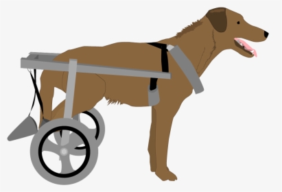 Dog With Wheelchair - Dog In Wheel Chair Clip Art, HD Png Download, Free Download