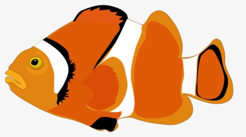 Cartoon Fish Png, Transparent Png, Free Download