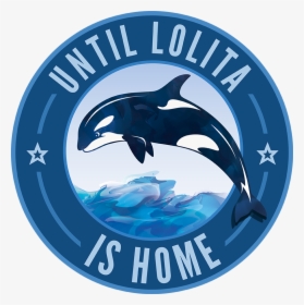 Until Lolita Is Home - Safari App On Ipad, HD Png Download, Free Download