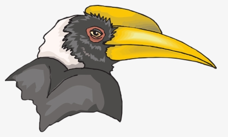 Head, Bird, Hornbill, Beak, Feathers, Breed - Hornbill Png, Transparent Png, Free Download