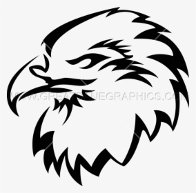 Transparent Bird Head Png - Transparent Falcon Art, Png Download, Free Download